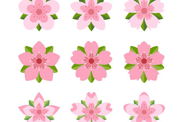9ɫҶӣʸز