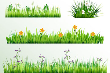 4⻨ʸز