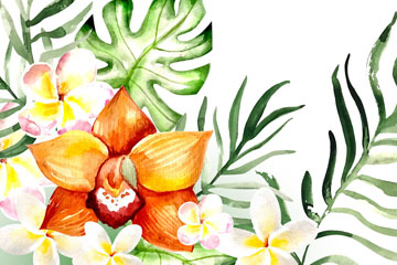 ˮʻҶʸͼ