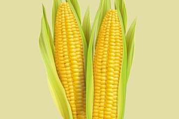 2ʸز