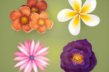4洺ʸز