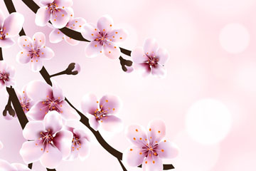 ʢӣ֦ʸز