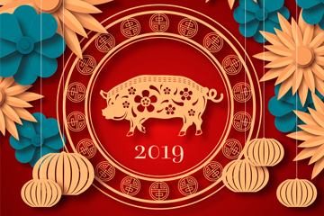 2019ؿʸز
