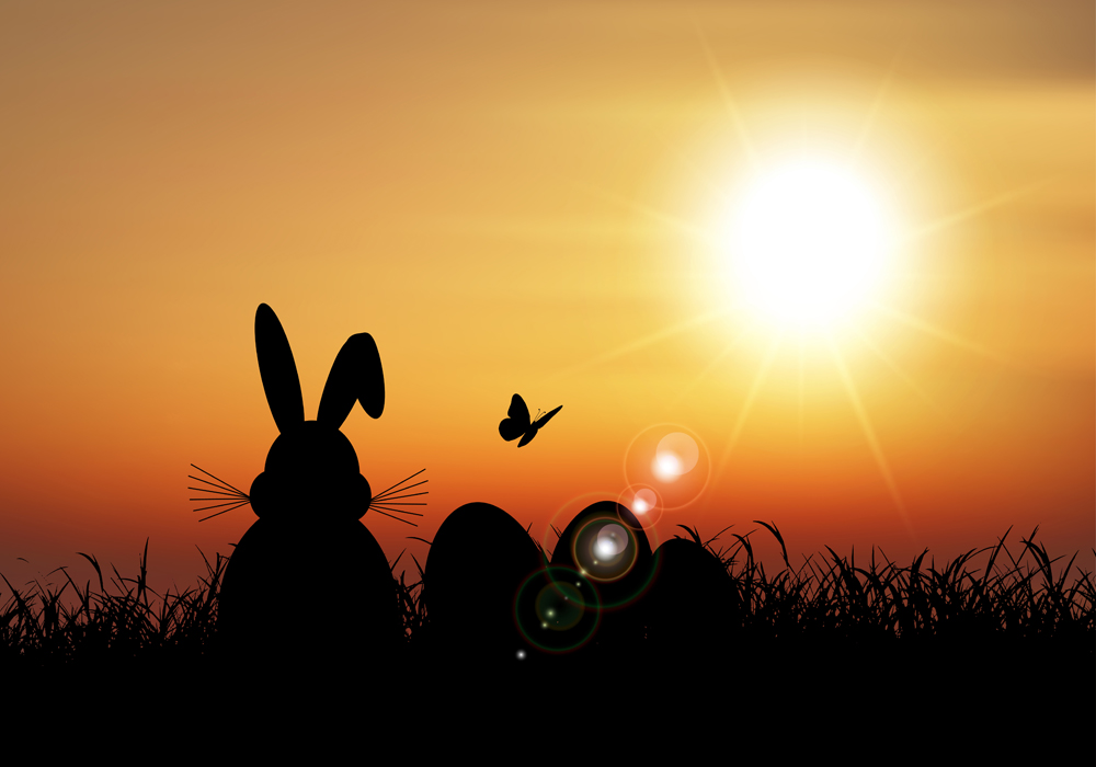 含jpg预览图,关键字:夕阳,兔子,彩蛋,剪影,草丛,蝴蝶,阳光,太阳,草