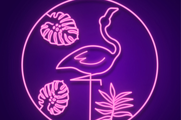 ɫ޺ʸز
