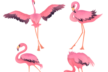4ȴʸز