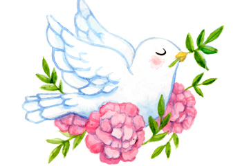 ʻʺƽհ׸ʸز