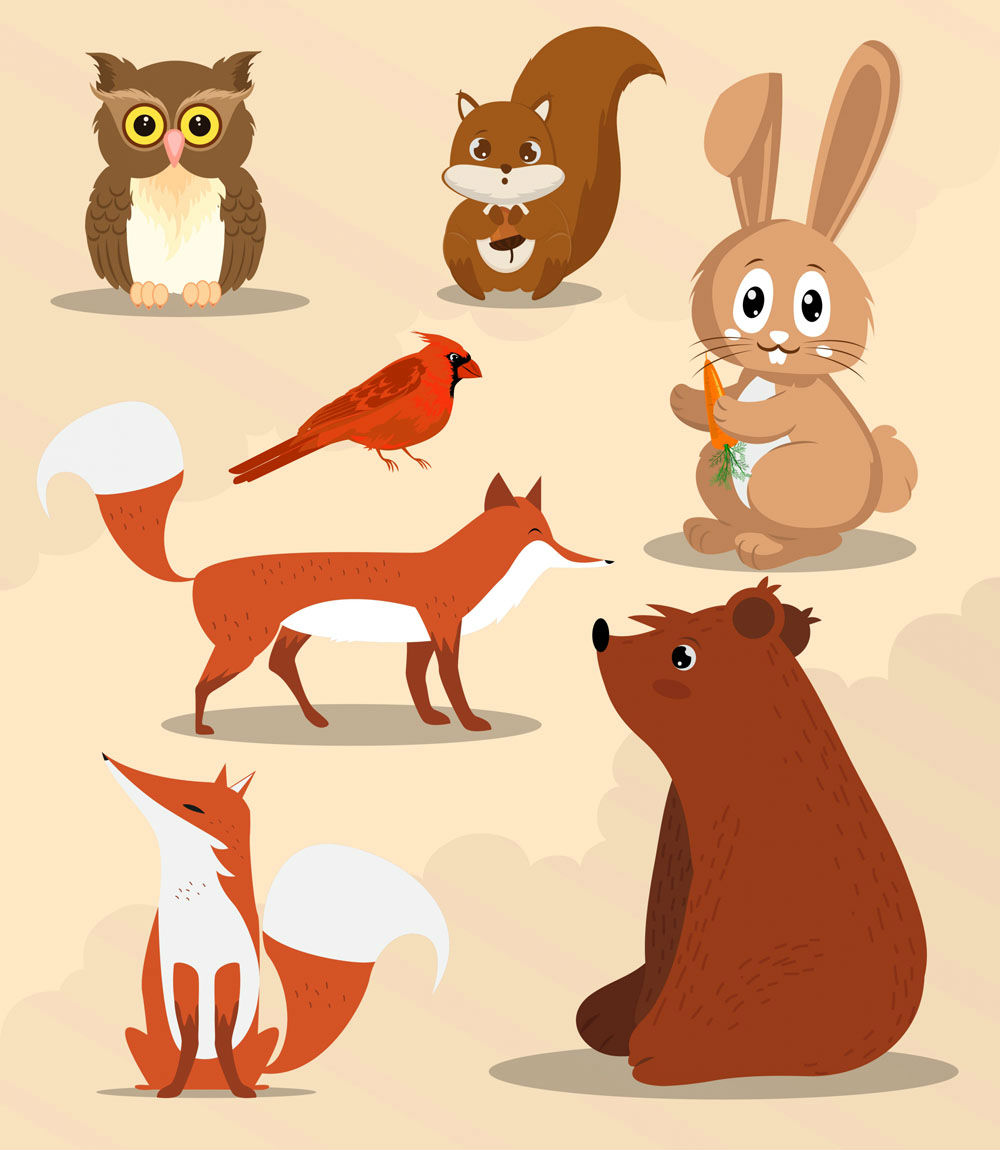 ai格式,含jpg预览图,关键字:野生动物,可爱,秋季,动物,猫头鹰,松鼠