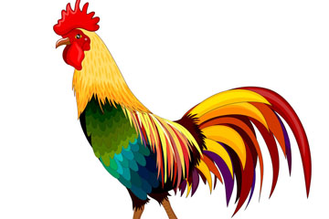 ʸز