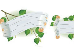 3ͬ״Ҷbannerʸز