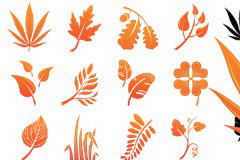 ɫҶӰʸز