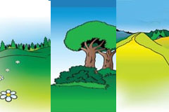 3ͨʸز