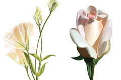 2AIʽʸز