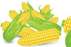 ʸز