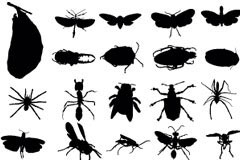 各种AI格式昆虫剪影矢量素材