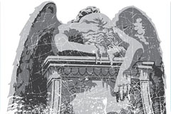 ˵ʹʸز