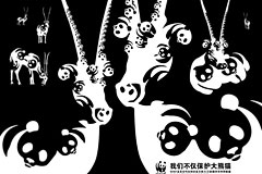 棺ǲè
