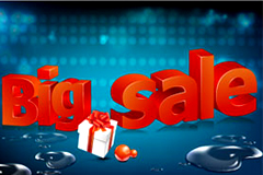 big sale廭ʸز