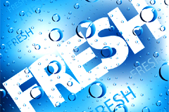 ˮFRESHӢĸʸز