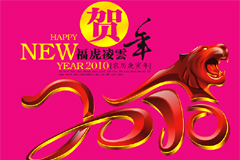 2010긣ƺʸز