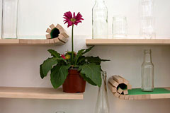 Rolling Shelf: ļ