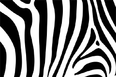 Ʊʸز
