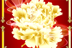 ɫĵʻʸز