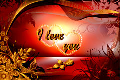 һ˽ںؿʸز