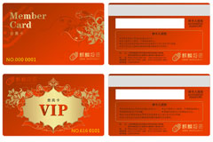 ʵVIPʸز