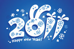 2011Ӻͺܲʸ