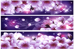 ӣbannerʸز