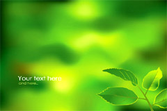 »òҶʸز