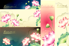 ɻbannerʸز