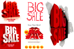BIG SALEʸز