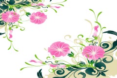 ǣţʸز