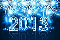 2013ؿʸز