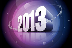 2013ʸز