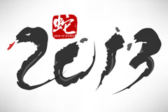 2013ˮīʸز