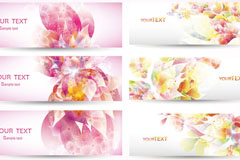 Bannerʸز