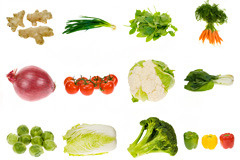 16种高清蔬菜图片素材下载