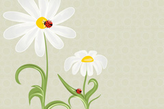С»ܱʸز