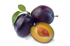 ζ÷ʸز