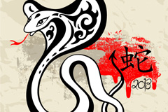 2013廭ʸز