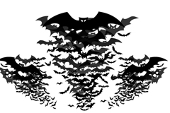 ȺӰʸز
