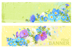 Żbannerʸز
